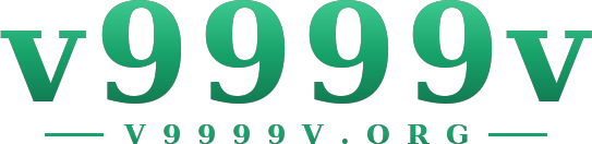 v9999v logo